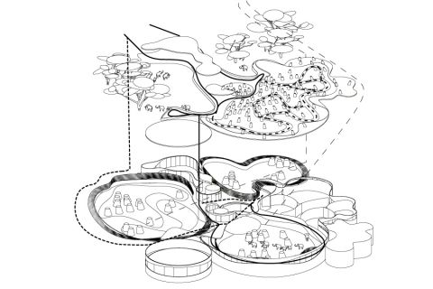 spatial translation