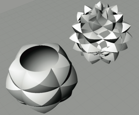 Radiolaria: different parameters produce different geometries